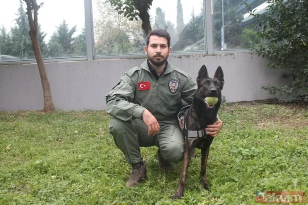 Cemal Kaşıkçı bu köpekle arandı! Türkiye’de sadece 5 tane var