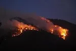 Denizli’de orman yangını! Alevler yerleşim bölgelerine ulaştı: 50 ev boşaltıldı