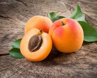 Gençliğin sırrı kayısıda saklı