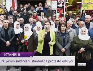 HDP’li Meral Danış Beştaş teröristlere selam gönderdi