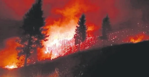 Karadeniz’de 76 ayrı noktada yangın çıktı