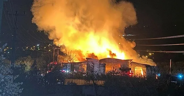 Yalova'da gece yarısı yangın korkusu! Kereste fabrikası alev alev yandı