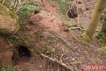 Tavşan deliğini takip edenler 700 yıllık mağaraya ulaştı! Dünyayı şaşkına çeviren tavşan deliği…