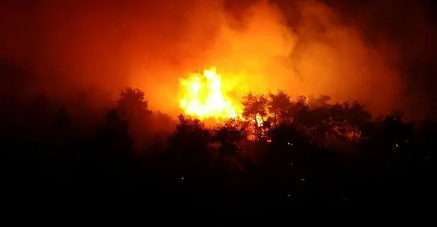Bursa'da orman yangını!
