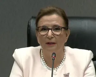 Bakan Pekcan: Başkan Erdoğan BM haftasında Trump ile bir araya gelecek