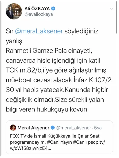 İYİ Parti Genel Başkanı Meral Akşener'den İnfaz Yasası üzerinden algı operasyonu: "Gamze Pala'yı öldüren kişi 9 yıl sonra aramızda"-2