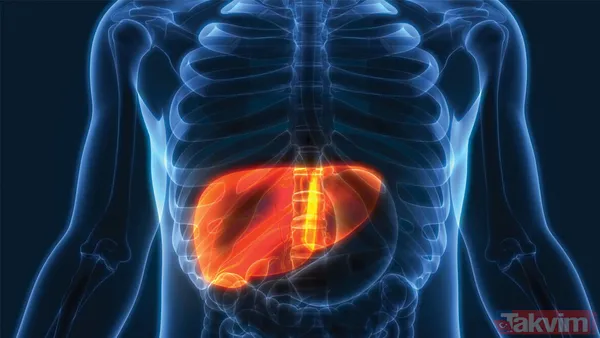 Metil Alkol Ucuz Ve Kolayca Elde Edilebilmesi Nedeniyle Yasa Dışı Yollarla Üretilen İçkilerde Yaygın Olarak Kullanılan Bir Madde Olarak Biliniyor. Uçucu Ve...