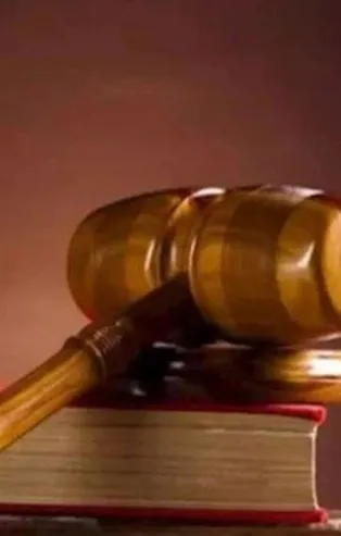 Sahiplendiğimiz ve küpe takılı sokak hayvanlarını belediye toplayabilir mi?