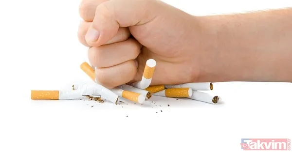 21 Haziran 2022 güncel sigara fiyatları ne kadar? Sigaraya 9 TL'lik dev zam! Sigara zammı 2022 ne kadar? Philip Morris, BAT ve JTİ güncel fiyatları! En ucuzu... - 12