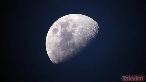 Ay’da tarım başlıyor mu? Bilim insanları Ay toprağında nohut yetiştirdi - 9