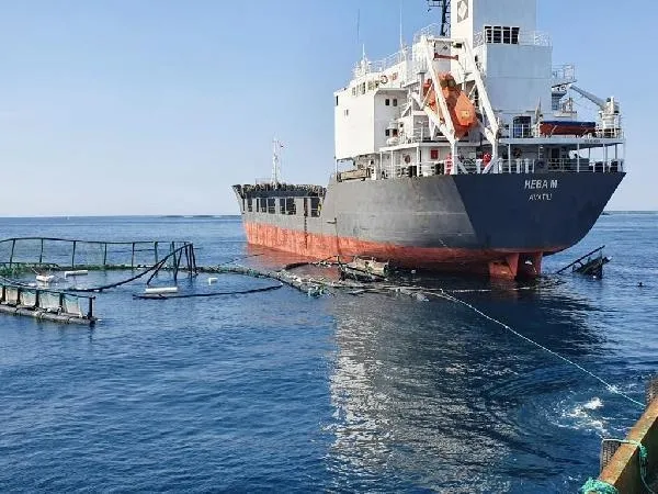 Muğla'da 20 milyonluk kaza! Kuru yük gemisi balık çiftliği havuzlarına çarptı-3