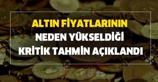 Altın fiyatlarının neden yükseldiği ve kritik tahmin açıklandı! Altın fiyatları baya hızlı başladı