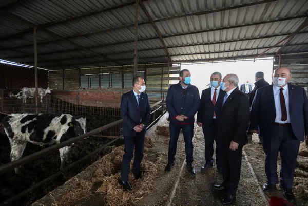 chp-genel-baskani-kemal-kilicdaroglu-tekirdagda-inekleri-sevdi-1616075344472.jpg