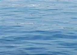 Denizde kaybolan 4 kişiden biri bulunamadı