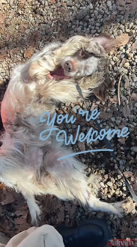 İlk yorum Pınar Altuğ’dan! Bülent Şakrak’la boşanan Ceyda Düvenci “4 aydır yaşadığım yorucu bir maratondu” deyip açıkladı: Aileye yeni üye! - 9