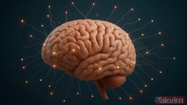 Beyni genç tutan alışkanlıklar: Okuma ve dil öğrenme alzheimer riskini yüzde 40 azaltıyor - 3