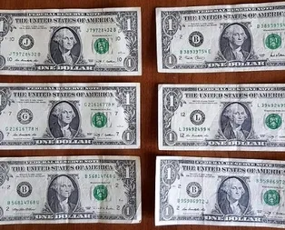 FETÖ’nün Colorado imamı bülbül gibi öttü