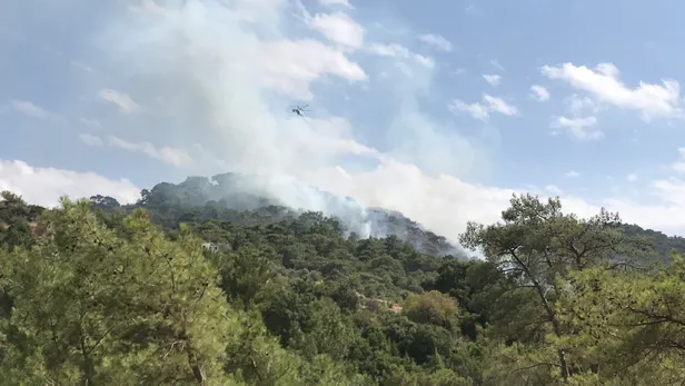Son dakika haberi: Bodrum'da orman yangını-5