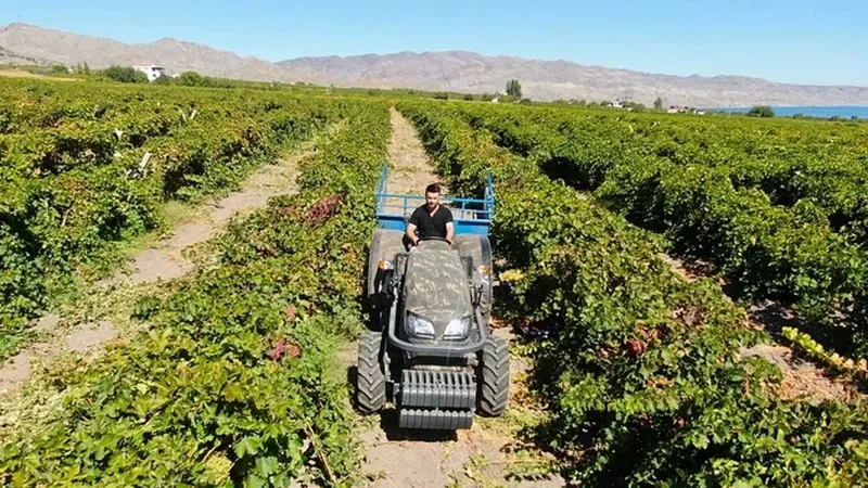 muhendisligi-birakti-simdi-maasinin-4-5-katini-kazaniyor-1735580218805.jpeg Mühendisliği bıraktı şimdi maaşının 4-5 katını kazanıyor-4