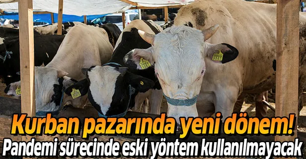 Kurban pazarlığında "sopalı" dönem başladı