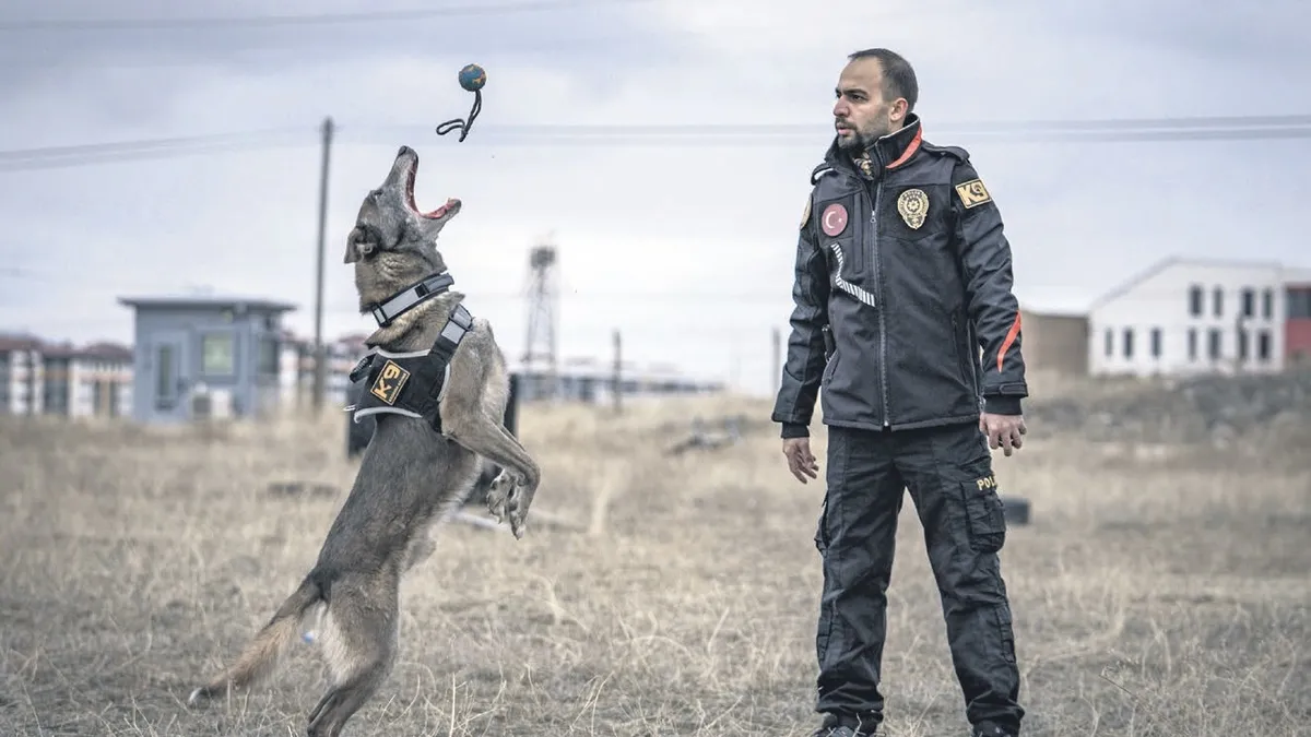 Deprem enkazından faili meçhule: Hassas burun Melo emekliliğe hazırlanıyor