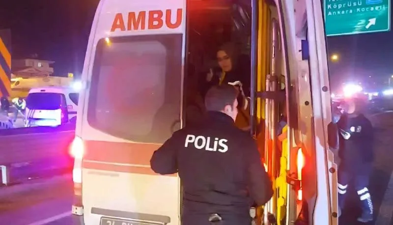 Son dakika: TEM Otoyolu'na giren başıboş sokak köpeği zincirleme kazaya neden oldu: 1'i bebek 12 yaralı-4