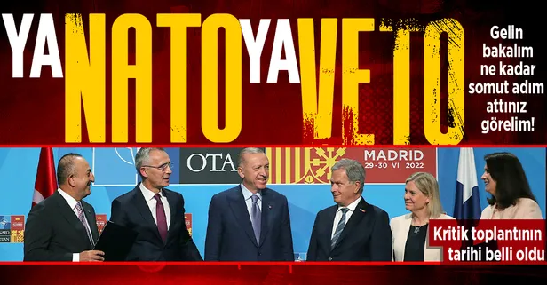 Türkiye İsveç ve Finlandiya arasında gerçekleşecek olan kritik toplantının tarihi belli oldu!