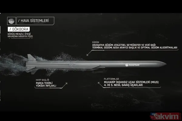 IDEF 2025'e TAYFUN, EREN ve 300 ER damgası! Roketsan 6 yeni silahını tanıttı | Balistik füze ne zaman envantere girecek? - 5