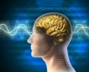 Beyni öldüren gıdaların listesi yayınlandı!