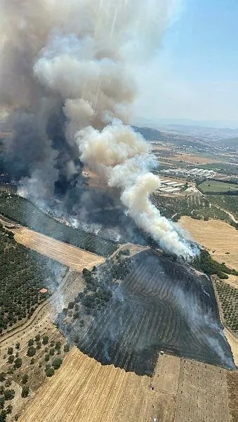 son-dakika-izmir-focada-orman-yangini-ekipler-harekete-gecti-1655553797346.jpeg Son dakika: İzmir Foça'da orman yangını! Ekipler harekete geçti-1