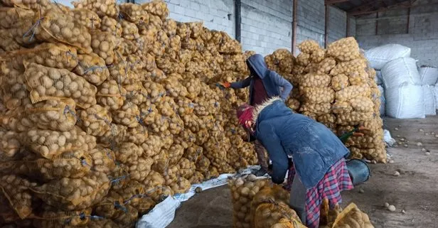 Başkan Erdoğan’ın çiftçiden patates, soğan ve çeltik satın alınacağı müjdesi Ahlatlı çiftçileri sevindirdi