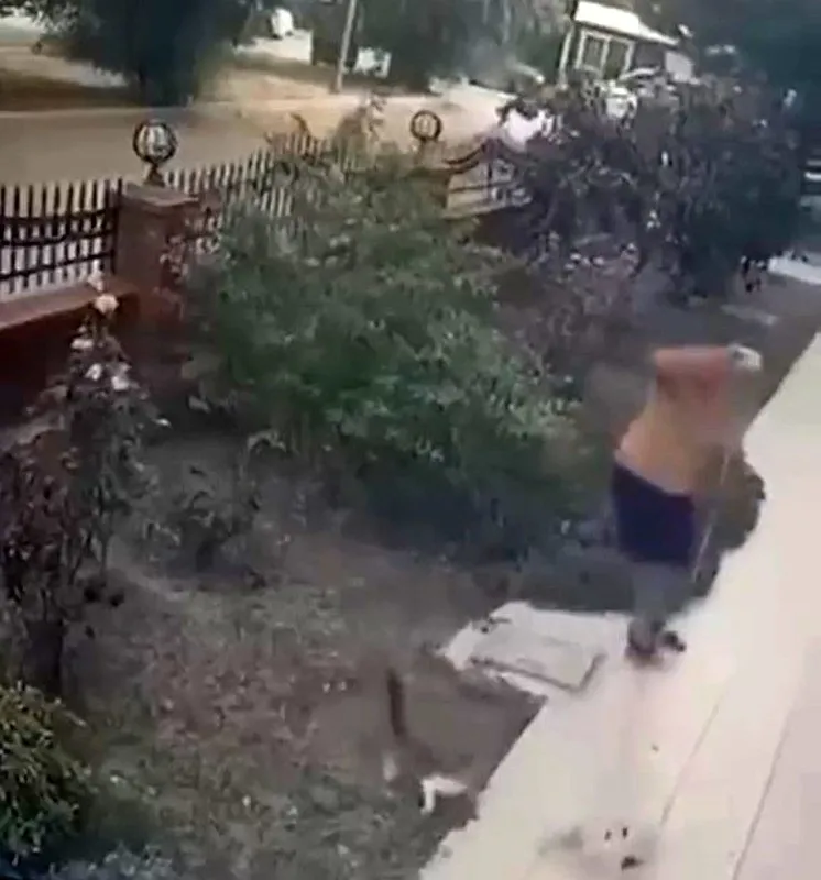 izmirde-kopek-gezdiren-sahis-anne-kediyi-tekmeledi-1790150286541.jpeg İzmir'de köpek gezdiren şahıs anne kediyi tekmeledi! O anlar kamerada-1