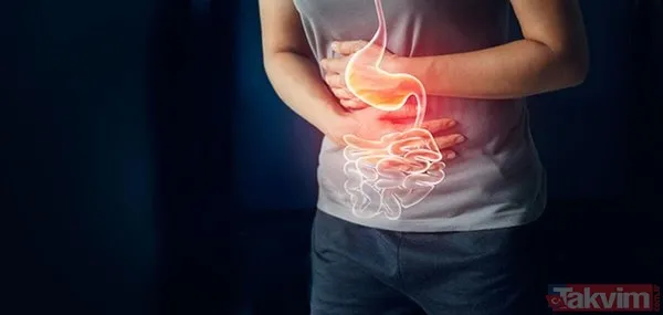 Neslihan Atagül korkutan hastalığı yüzünden İngiltere'de! Sefirin Kızı dizisine ivedilikle veda etmişti... - 24