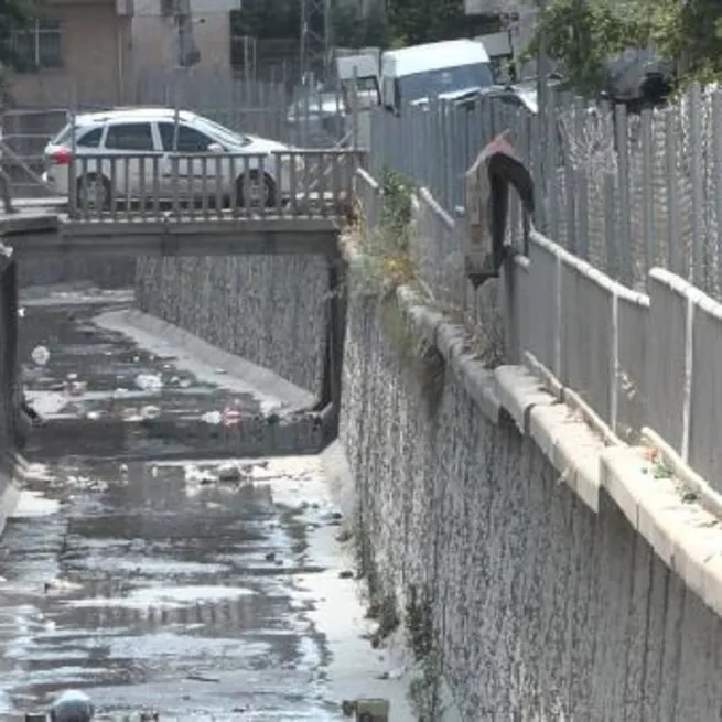 CHPli İBB İstanbulu sivrisineklere teslim etti! Vatandaş ilaçlama yapmayan belediyeye tepki gösterdi