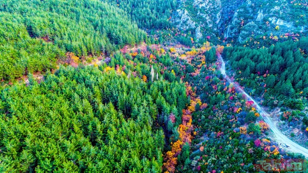 Manisa'da Spil Dağı Milli Parkı'nda muhteşem manzaralar - 10