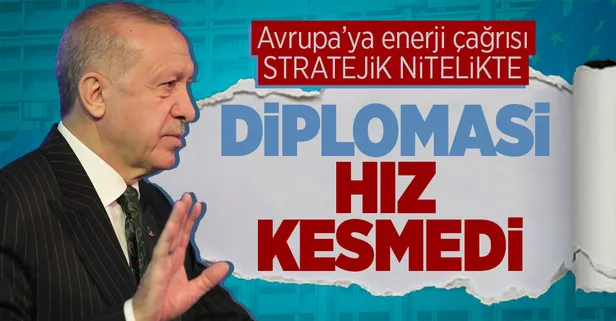 Son dakika: Başkan Erdoğan, Avusturya Başbakanı Karl Nehammer ile görüştü