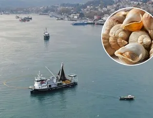 İstanbul Boğazı’nda milyon dolarlık av! Kansere çare...