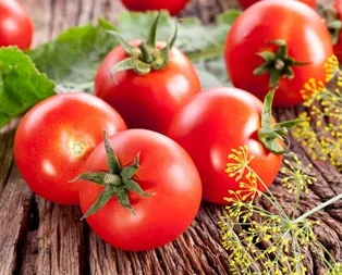 Domates halde 30 kuruş