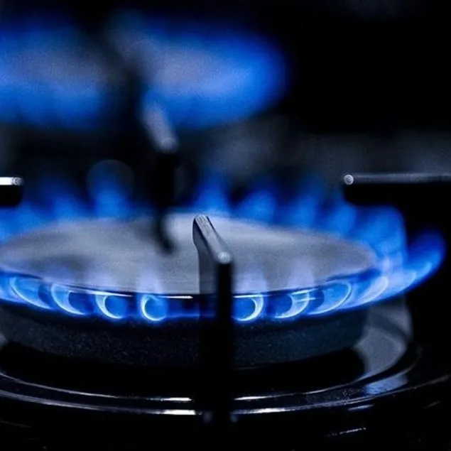 Hanelere doğalgaz desteği