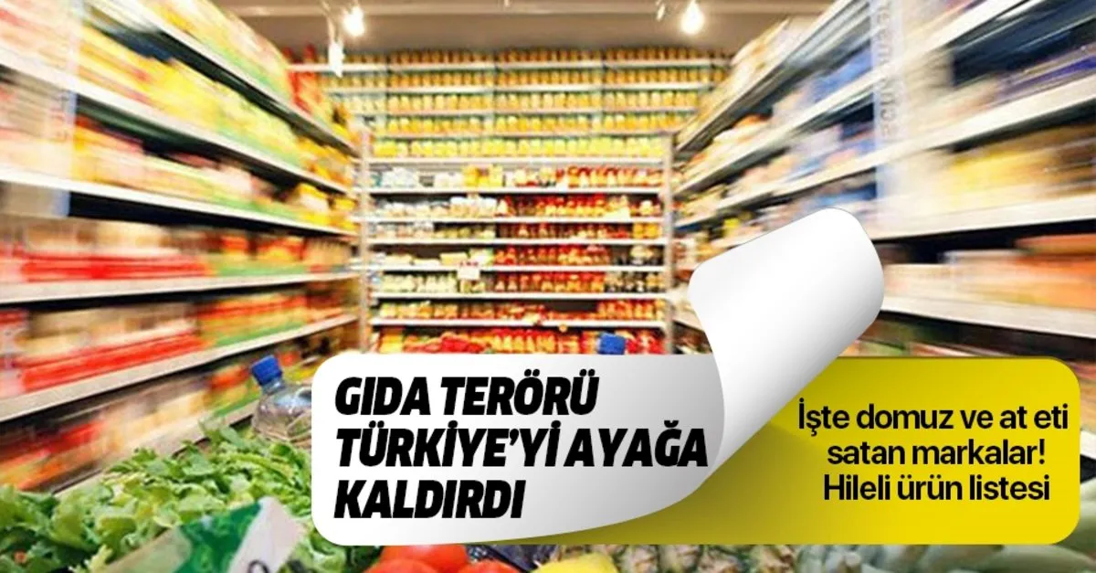 Sefine Yemekcilik Ltd Sti Sakarya Tabldot Yemek Servisi Ve Yemek Organizasyonu Hizmetleri