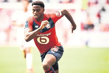 Fener’in David çılgınlığı