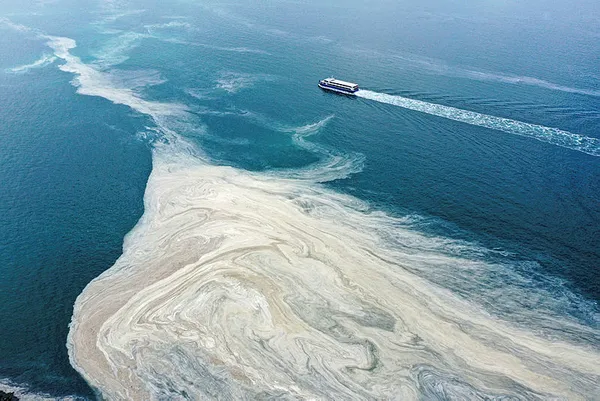 Marmara istila altında! Deniz salyasının (müsilaj) ilk raporu ortaya çıktı! Korkunç sonuç!-9