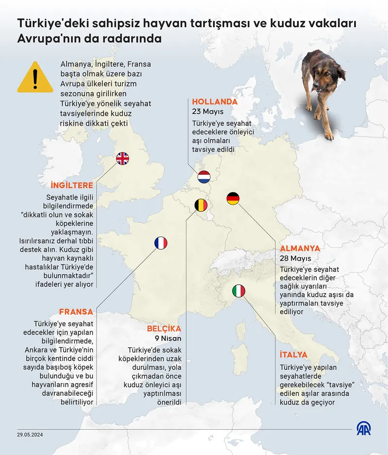 Başkan Erdoğan grup toplantısında duyurmuştu! Türkiye'deki sahipsiz hayvan tartışması ve kuduz vakaları Avrupa'nın da radarında-5