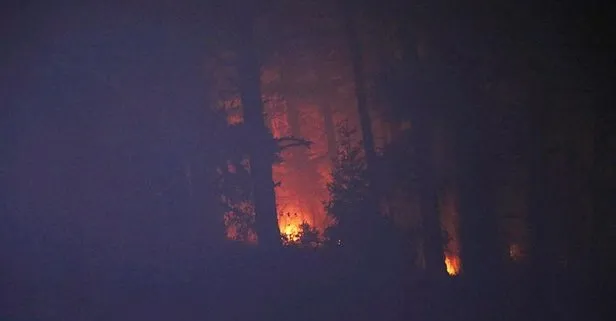 SON DAKİKA: Kastamonu’da orman yangını