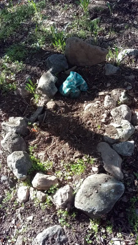 bebek-gomuldugunden-suphelenilen-mezardan-kopek-cesedi-cikti-1606472916370.jpg Bebek gömüldüğünden şüphelenilen mezardan köpek cesedi çıktı-2