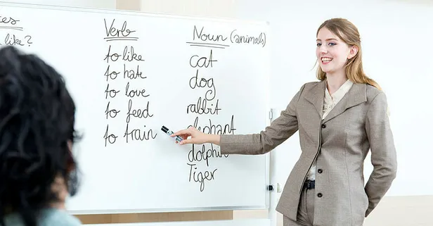 Öğretmen özür grubu atama başvuruları başladı mı? MEB mazerete bağlı yer değiştirme ne zaman 2024? MEB yer değiştirme takvimi!