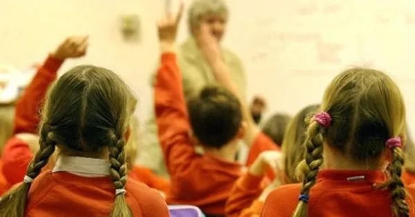 Hangi Okula Kayitliyim Cocugum Hangi Okula Gidecek Ilkokul 1 Ve Ortaokul 5 Sinif E Okul Kayit Sorgulama Takvim