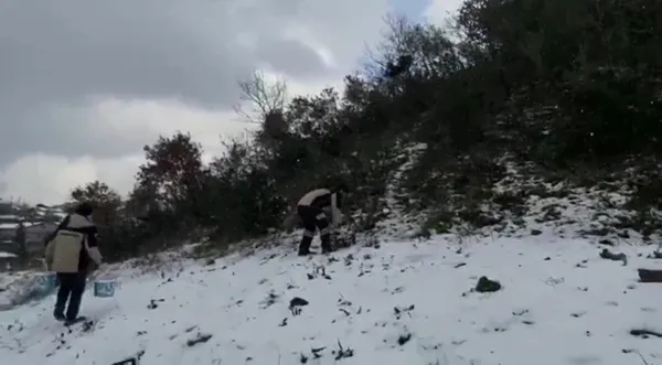 afrikadan-avrupaya-goc-ederken-istanbulda-mola-veren-leylekler-icin-yem-dagitildi-1647786304355.jpg Afrika'dan Avrupa'ya göç ederken İstanbul'da mola veren leylekler için yem dağıtıldı-5