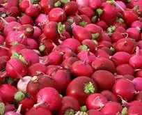 Salataları süsleyen turpun faydaları neler?