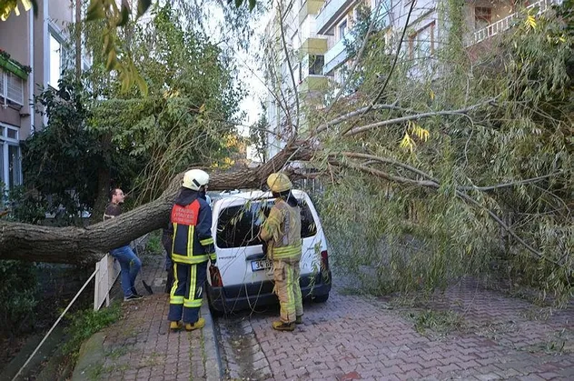 Avcılar'da otomobilin üstüne ağaç devrildi